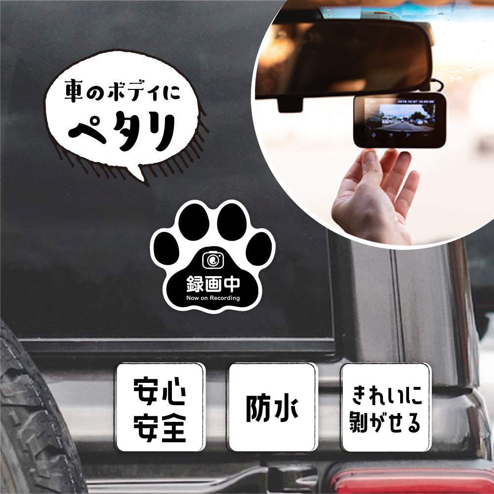 ドラレコ ステッカー 車 猫 ドライブレコーダー カーステッカー 録画中 REC カッティングステッカー 事故防止 stk-00004
